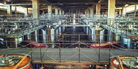 世界最佳酒莊之蒙特斯酒莊:懂陰陽的天使