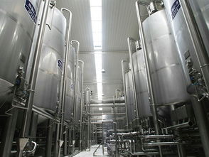 葡萄酒加工設備 溫州尚運輕工sell 草莓酒生產線