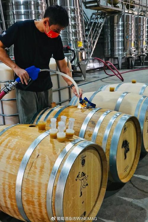 中國(guó)葡萄酒新勢(shì)力 釀松弛的酒，做最“野”的標(biāo)